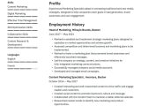 Free Sample Of Resume Of A Marketing Graduate Marketing Resume Examples & Writing Tips 2022 (free Guide)