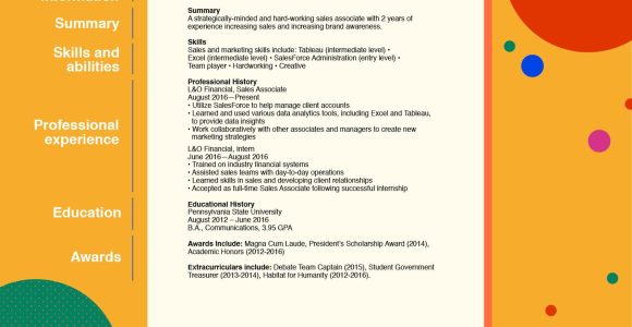 Free Sample Of Sales Representative Resume On Indeed How to Write A Sales Professional Summary (with Template) Indeed.com