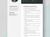 Free Sample Resume Child Care Worker Child Care Resume Templates – Design, Free, Download Template.net