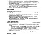 Free Sample Resume Early Childhood Education B E Ece Resume format – Resume format Education Resume …