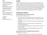 Free Sample Resume Early Childhood Education Teacher Resume Examples & Writing Tips 2022 (free Guide) Â· Resume.io