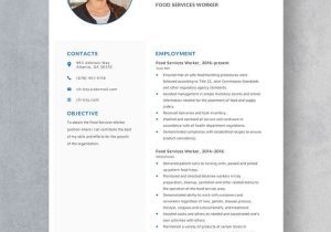 Free Sample Resume Food Service Worker Free Free Food Services Worker Resume Template – Word, Apple Pages …