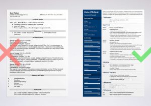 Free Sample Resume for Account Manager Account Manager Resume Sample & Tips [lancarrezekiqjob Description]