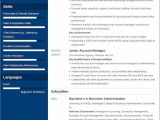 Free Sample Resume for Account Manager Account Manager Resumeâexamples and 25lancarrezekiq Writing Tips