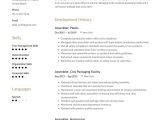 Free Sample Resume for assembly Line Worker assembler Resume Example & Writing Guide Â· Resume.io
