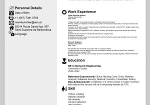 Free Sample Resume for associate Dereee In Cyber Security 5 Cyber Security Resume Examples with Cover Letter & Jd – Webson Job