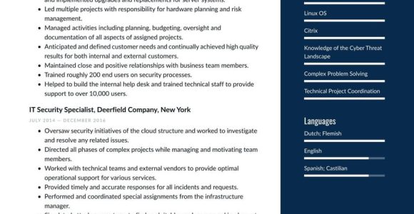 Free Sample Resume for associate Dereee In Cyber Security Cyber Security Resume Examples & Writing Tips 2022 (free Guide)