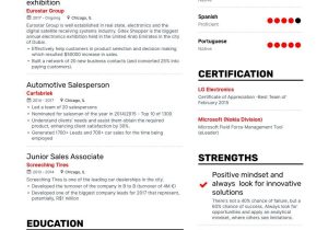 Free Sample Resume for Car Salesman 12lancarrezekiq Car Salesman Resume Examples for 2019 Resume Examples, Sales …