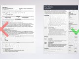 Free Sample Resume for Computer Programmer Programmer Resume Examples (template & Guide)
