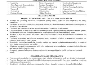 Free Sample Resume for Construction Project Manager Professional Resume Sample for Construction Project Manager …
