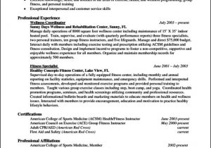 Free Sample Resume for Experienced It Professional Resume Template for Experienced Professional