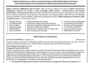 Free Sample Resume for Finance Manager Financial Manager Resume Example