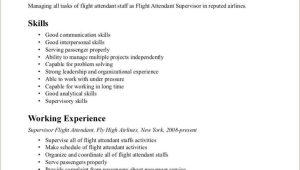 Free Sample Resume for Flight attendant with No Experience Entry Level Flight attendant Resume No Experience Flight …