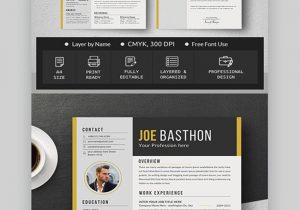 Free Sample Resume for Graphic Designer 30 Best Web & Graphic Designer Resume Cv Templates (examples for 2020)