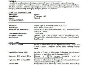 Free Sample Resume for It Professional 40 Simple It Resume Templates Pdf Doc Free Sample Resume for It Professional 40 Simple It Resume Templates Pdf Doc