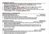 Free Sample Resume for It Professional 40 Simple It Resume Templates Pdf Doc