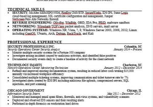 Free Sample Resume for It Professional 40 Simple It Resume Templates Pdf Doc