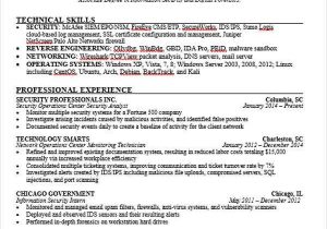 Free Sample Resume for It Professional 40 Simple It Resume Templates Pdf Doc Free Sample Resume for It Professional 40 Simple It Resume Templates Pdf Doc