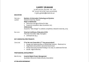 Free Sample Resume for It Professional Free 12 Sample It Resumse In Pdf