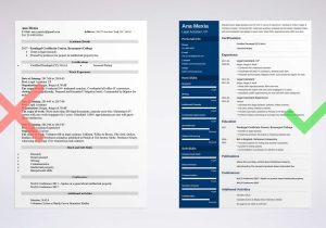 Free Sample Resume for Legal assistant Legal assistant Resume Examples 2022 (with Job Description)