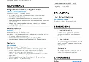 Free Sample Resume for Nursing assistant top-notch Certified Nursing assistant Service Resume Examples …