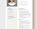 Free Sample Resume for Police Officer Free Free Airport Police Officer Resume Template – Word, Apple …