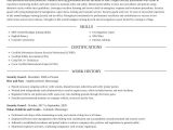 Free Sample Resume for Security Guard Security Guard Resumes