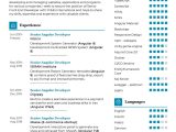 Front End Developer Resume Template Download Senior Front-end Developer Cv Template 2021 Writing Tips …