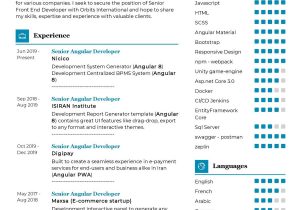 Front End Developer Resume Template Download Senior Front-end Developer Cv Template 2021 Writing Tips …