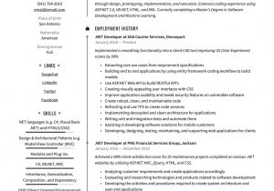 Full Stack Net Developer Resume Sample Net Developer Resume & Writing Guide  17 Templates