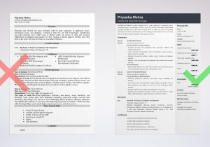 Full Stack Web Developer Resume Sample Full Stack Developer Resume Examples [web, Java, .net, Etc]