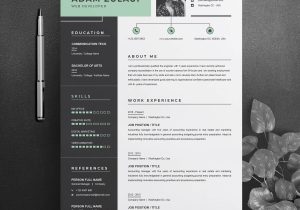 Full Stack Web Developer Resume Sample Full Stack Web Developer Cv Template – Resumeinventor