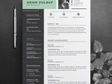 Full Stack Web Developer Resume Template Full Stack Web Developer Cv Template – Resumeinventor