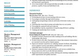 Functional Resume Sample for Financial Analyst Financial Analyst Cv Sample 2022 Writing Tips – Resumekraft