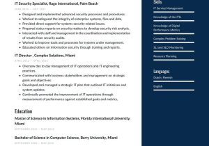 Functional Resume Sample for Information Technology Information Technology Resume Examples & Writing Tips 2022 (free