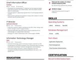 Functional Resume Sample for Information Technology It Resume Examples & Templates for 2022 Information Technology …