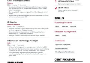 Functional Resume Sample for Information Technology It Resume Examples & Templates for 2022 Information Technology …