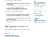 Functional Resume Sample for Project Manager It Project Manager Resume Examples & Writing Tips 2022 (free Guide)