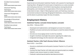 Functional Resume Sample for Substitute Teachers Substitute Teacher Resume Examples & Writing Tips 2022 (free Guide)