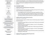 Functional Resume Sample for Substitute Teachers Substitute Teacher Resume & Writing Guide  20 Templates Pdf
