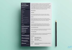 Functional Resume Sample Marketing and Public Relations Functional Resume: Examples & Skills Based Templates