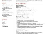 Functional Resume Sample Marketing and Public Relations Marketing Executive Resume Sample 2022 Writing Tips – Resumekraft