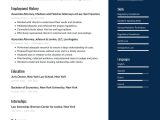 Functional Skills Based Resume Sample Kent State attorney Resume Examples & Writing Tips 2022 (free Guide) Â· Resume.io