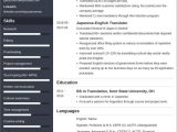 Functional Skills Based Resume Sample Kent State Translator Resume (cv)âsample and 25lancarrezekiq Writing Tips