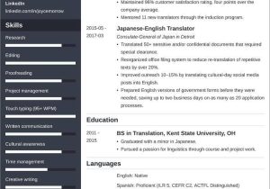 Functional Skills Based Resume Sample Kent State Translator Resume (cv)âsample and 25lancarrezekiq Writing Tips