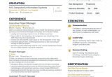Game Day Operations Resume Sample Live Career 4 Job-winning Project Manager Resume Examples In 2022 (layout …