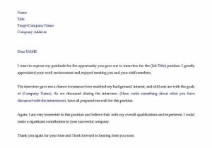 Generic Thank You for Your Resume Sample Thank You Email after Job Interview Resume Professional Writers