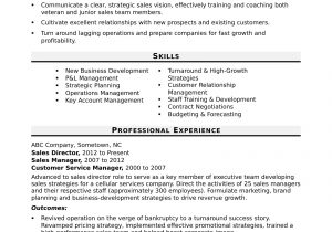 Give Me A Sample Of A Resume Sales Director Resume Sample Monster.com