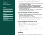 Global Human Resources Specialist Resume Samples Human Resources Resume Examples & Writing Tips 2022 (free Guide)