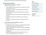 Go to Guy Bilingual Resume Sample How to List Languages On Your Resume Â· Resume.io